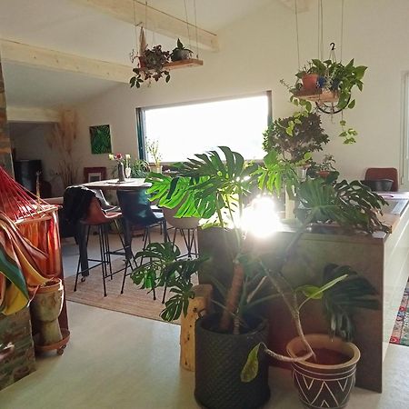 Logement De Charme Avec Piscine Et Jacuzzi Carnoules  Esterno foto