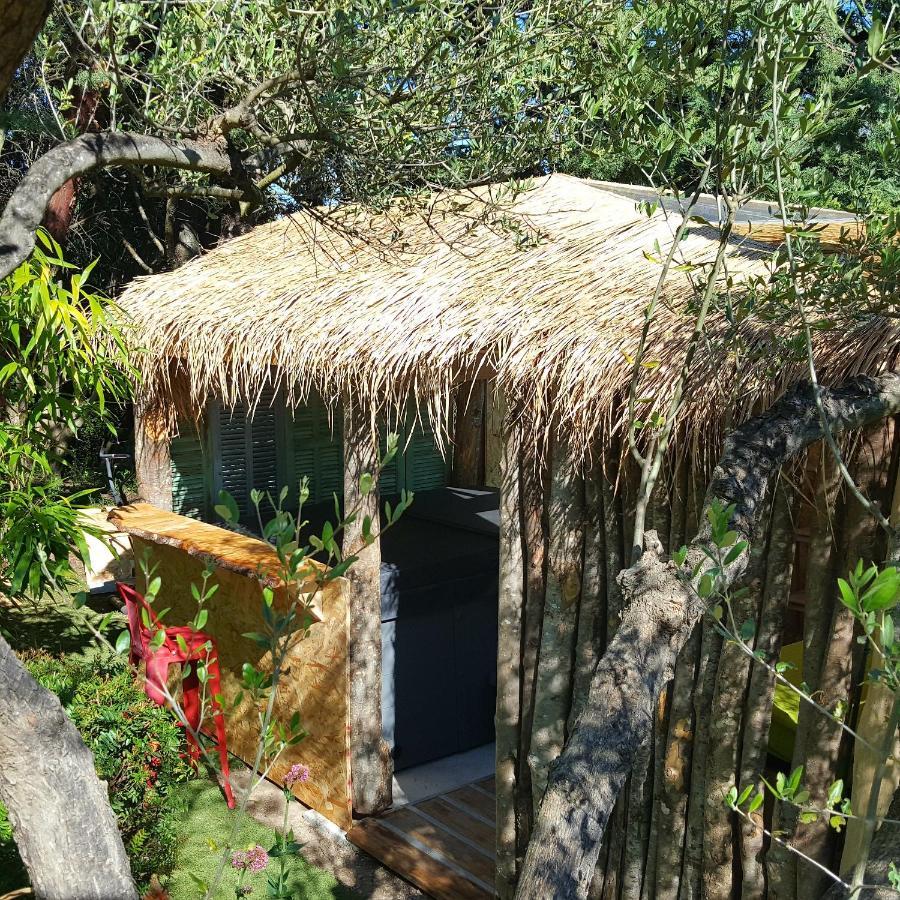 Logement De Charme Avec Piscine Et Jacuzzi Carnoules  Esterno foto