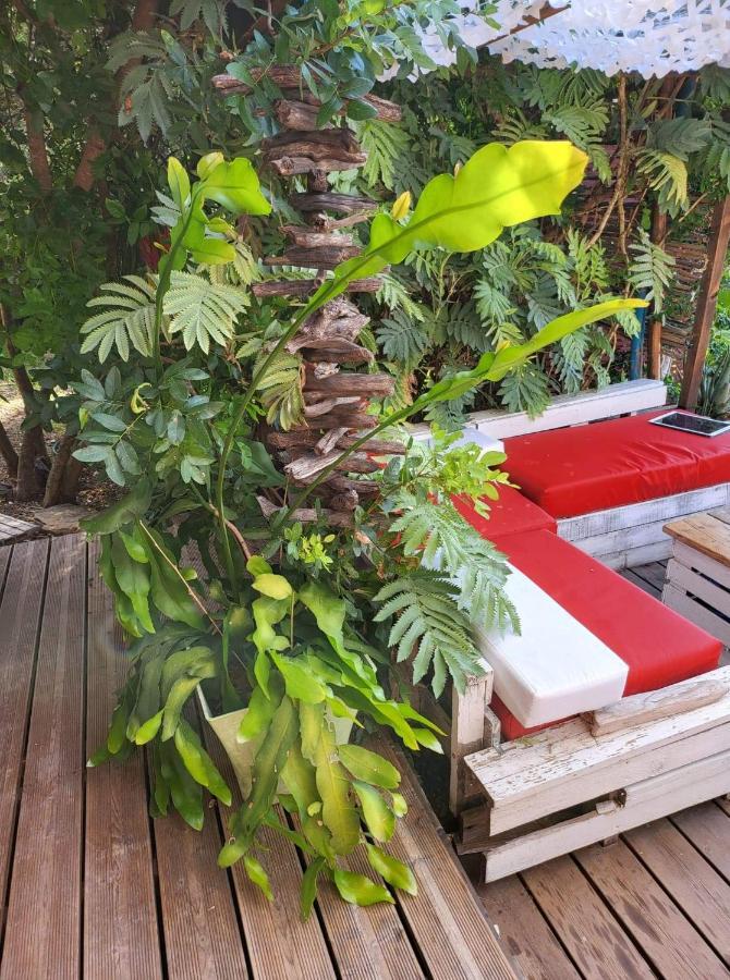 Logement De Charme Avec Piscine Et Jacuzzi Carnoules  Esterno foto