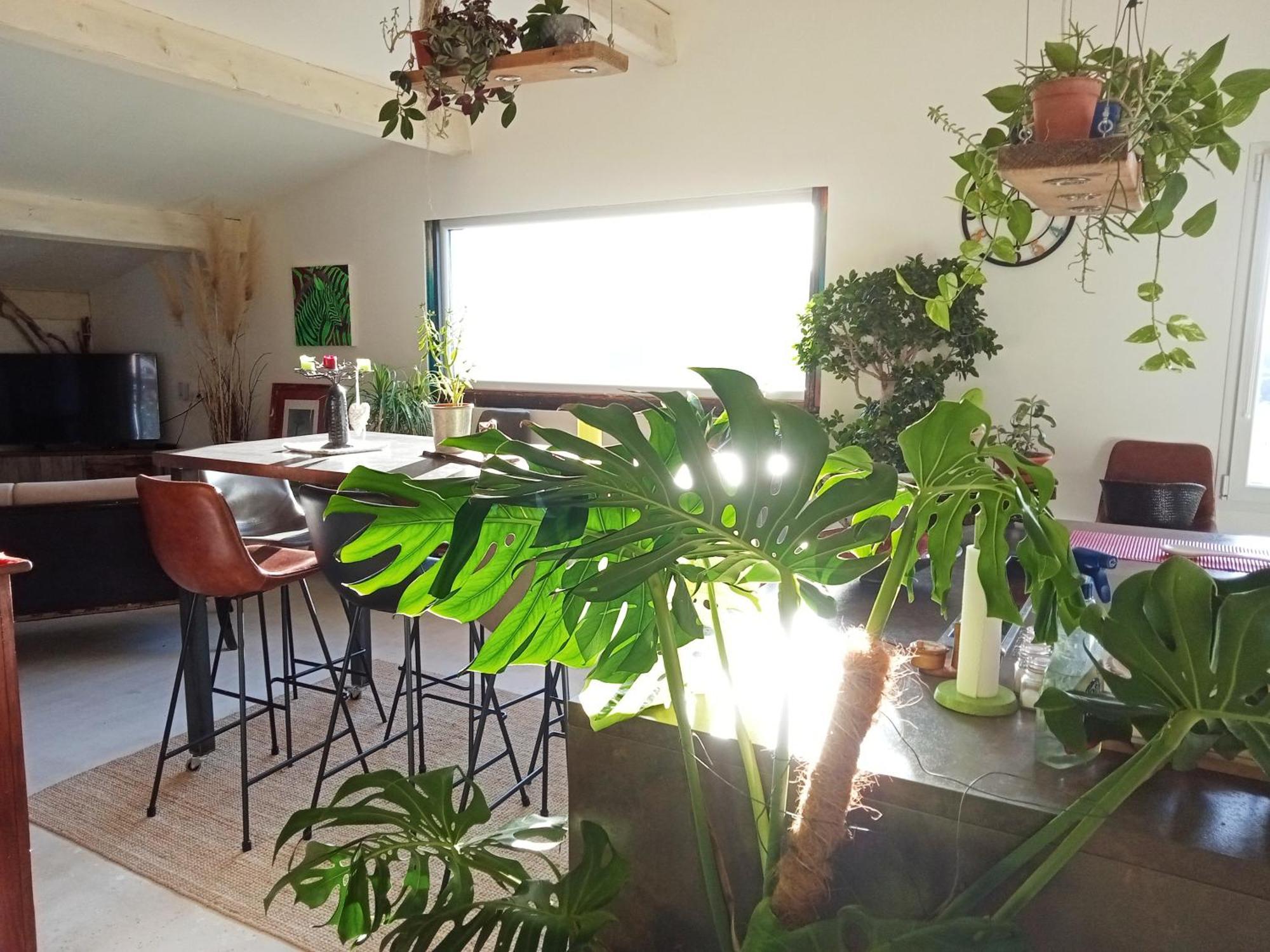 Logement De Charme Avec Piscine Et Jacuzzi Carnoules  Esterno foto